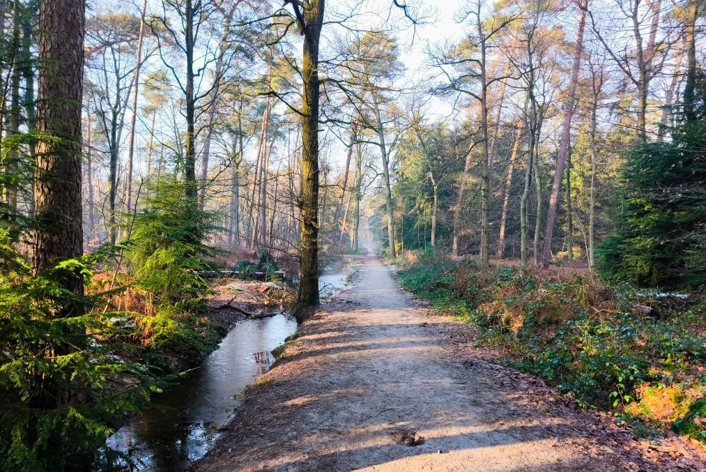 wandeling gezelschap bos echt